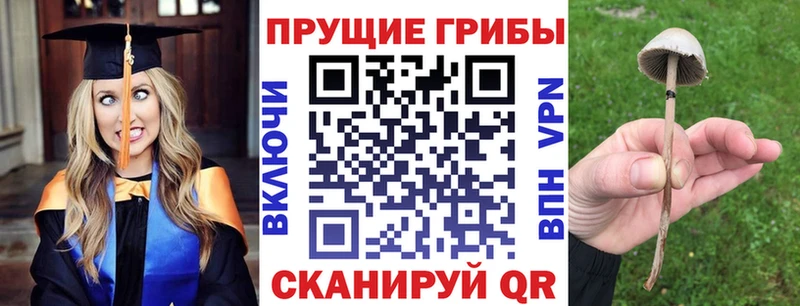 Галлюциногенные грибы ЛСД Череповец