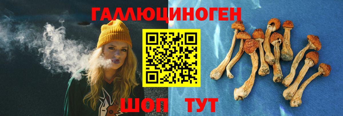 Череповец  Псилоцибиновые грибы MAGIC MUSHROOMS  Вход с VPN 